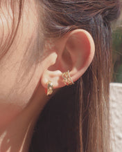 Load image into Gallery viewer, Shiny Hoops