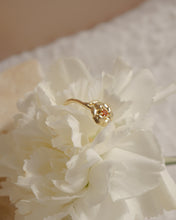 將圖片載入圖庫檢視器 January • Carnation - Birth Flower Ring