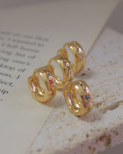 Load image into Gallery viewer, Shiny Hoops