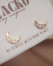 ๅฐๅ็่ผๅ
ฅๅๅบซๆชข่ฆๅจ OPAL 04