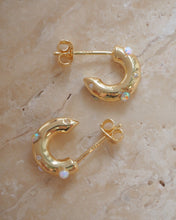 ๅฐๅ็่ผๅ
ฅๅๅบซๆชข่ฆๅจ OPAL 02