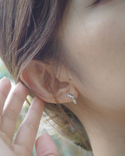 ๅฐๅ็่ผๅ
ฅๅๅบซๆชข่ฆๅจ OPAL 01