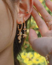 ๅฐๅ็่ผๅ
ฅๅๅบซๆชข่ฆๅจ Wave Soul Hoop Set Ver.2