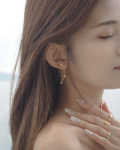 Load image into Gallery viewer, Starry Night II - Earrings