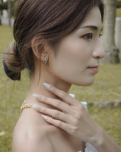 ๅฐๅ็่ผๅ
ฅๅๅบซๆชข่ฆๅจ OPAL 01