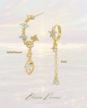 Load image into Gallery viewer, Wildflower x Zest - Earrings Set