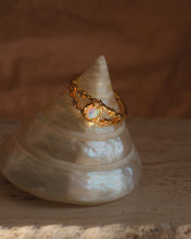 ๅฐๅ็่ผๅ
ฅๅๅบซๆชข่ฆๅจ Palace - Opal Ring