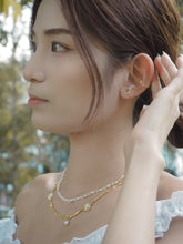 ๅฐๅ็่ผๅ
ฅๅๅบซๆชข่ฆๅจ OPAL 04