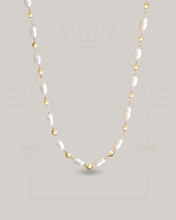 ๅฐๅ็่ผๅ
ฅๅๅบซๆชข่ฆๅจ Vital Pearl - 18KGP Choker