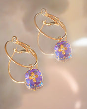 Load image into Gallery viewer, Amor 05 Hoops