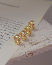 Load image into Gallery viewer, Shiny Hoops