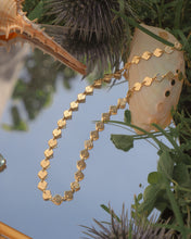 ๅฐๅ็่ผๅ
ฅๅๅบซๆชข่ฆๅจ Shell Seeker - Titanium Steel Necklace *Waterproof