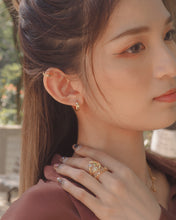 Load image into Gallery viewer, Shiny Hoops