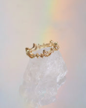 ๅฐๅ็่ผๅ
ฅๅๅบซๆชข่ฆๅจ Paradiso Ring
