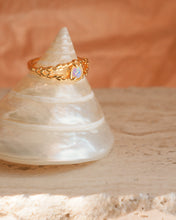 ๅฐๅ็่ผๅ
ฅๅๅบซๆชข่ฆๅจ Palace - Opal Ring