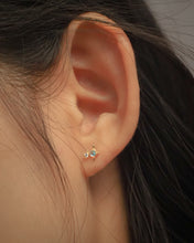 Load image into Gallery viewer, WD006 - Gold Earrings β¦ 925 Silver β’