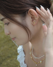 ๅฐๅ็่ผๅ
ฅๅๅบซๆชข่ฆๅจ OPAL 04