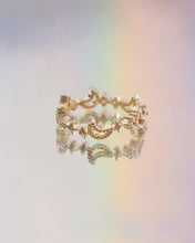 ๅฐๅ็่ผๅ
ฅๅๅบซๆชข่ฆๅจ Paradiso Ring