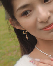 Load image into Gallery viewer, Wildflower x Zest - Earrings Set