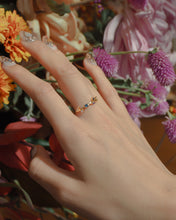 ๅฐๅ็่ผๅ
ฅๅๅบซๆชข่ฆๅจ Joyride Ring
