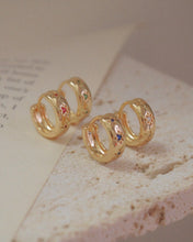 Load image into Gallery viewer, Shiny Hoops
