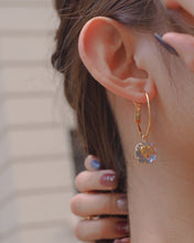 ๅฐๅ็่ผๅ
ฅๅๅบซๆชข่ฆๅจ Amor 04 Hoops