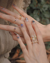 ๅฐๅ็่ผๅ
ฅๅๅบซๆชข่ฆๅจ Paradiso Ring