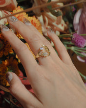 ๅฐๅ็่ผๅ
ฅๅๅบซๆชข่ฆๅจ Moon Stalker Ring *Waterproof