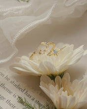 將圖片載入圖庫檢視器 Fancy - Ring Set
