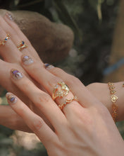 ๅฐๅ็่ผๅ
ฅๅๅบซๆชข่ฆๅจ Paradiso Ring