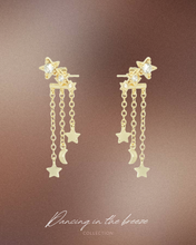 Load image into Gallery viewer, Starry Night II - Earrings
