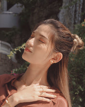 Load image into Gallery viewer, Shiny Hoops