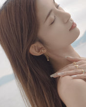Load image into Gallery viewer, Starry Night II - Earrings