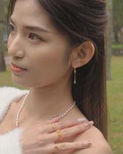 Load image into Gallery viewer, Zest - 18KGP Earrings