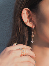 Load image into Gallery viewer, Sliding Shine Earrings