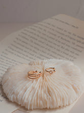 ๅฐๅ็่ผๅ
ฅๅๅบซๆชข่ฆๅจ Fall For You Mini Studs & Ear Cuff