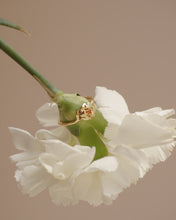 將圖片載入圖庫檢視器 January • Carnation - Birth Flower Ring
