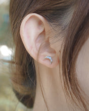 將圖片載入圖庫檢視器 OPAL 03
